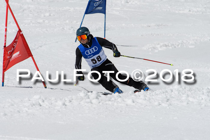 Ski Golf Masters 2018, Riesenslalom