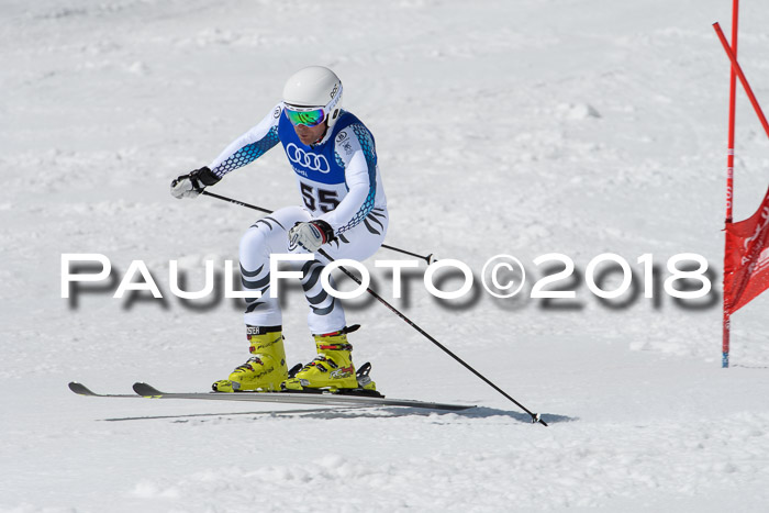 Ski Golf Masters 2018, Riesenslalom