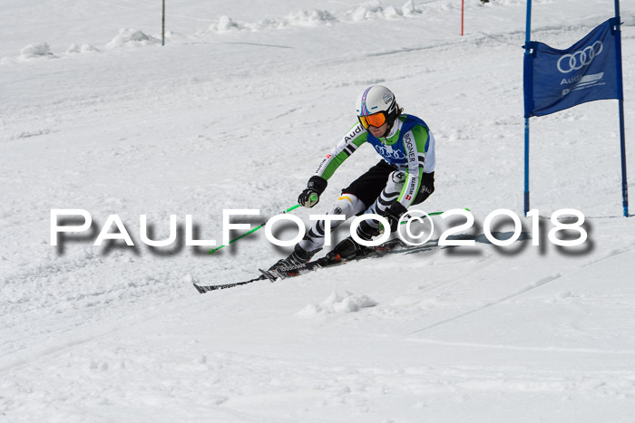 Ski Golf Masters 2018, Riesenslalom