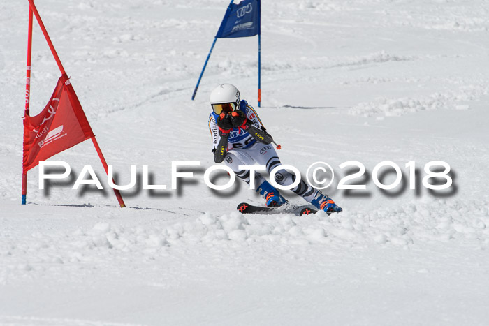 Ski Golf Masters 2018, Riesenslalom