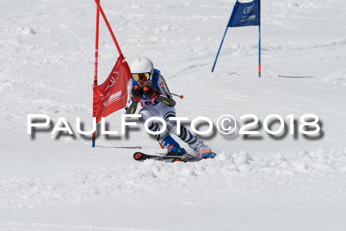 Ski Golf Masters 2018, Riesenslalom