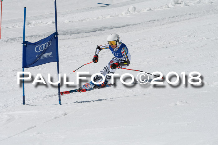 Ski Golf Masters 2018, Riesenslalom