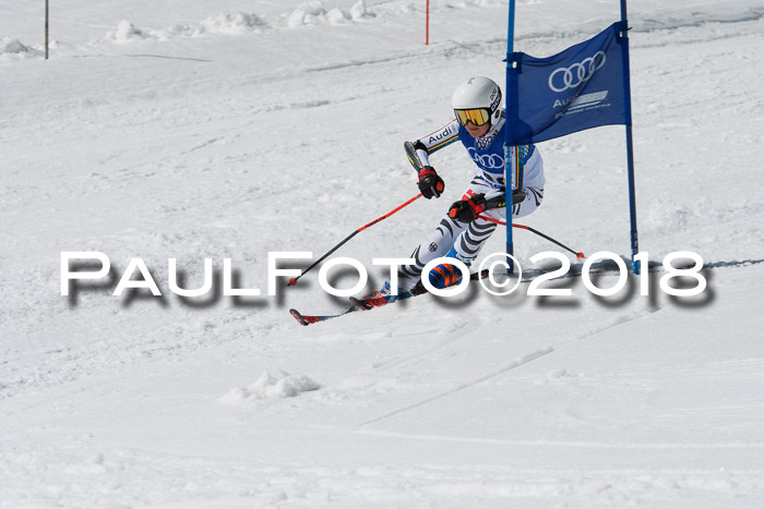 Ski Golf Masters 2018, Riesenslalom