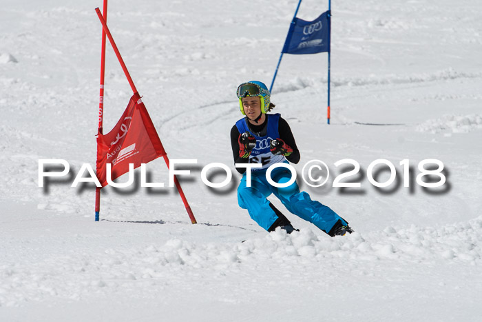 Ski Golf Masters 2018, Riesenslalom