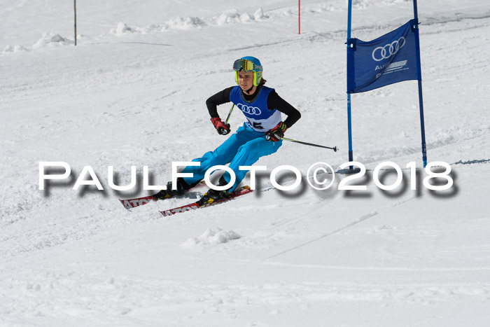 Ski Golf Masters 2018, Riesenslalom