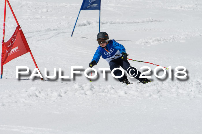 Ski Golf Masters 2018, Riesenslalom