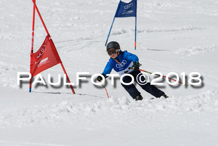 Ski Golf Masters 2018, Riesenslalom