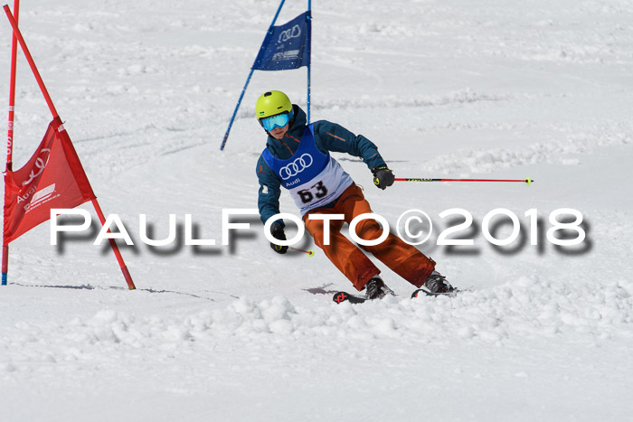 Ski Golf Masters 2018, Riesenslalom