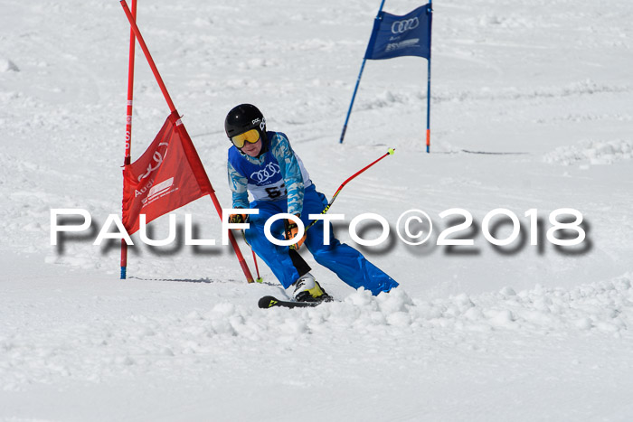 Ski Golf Masters 2018, Riesenslalom