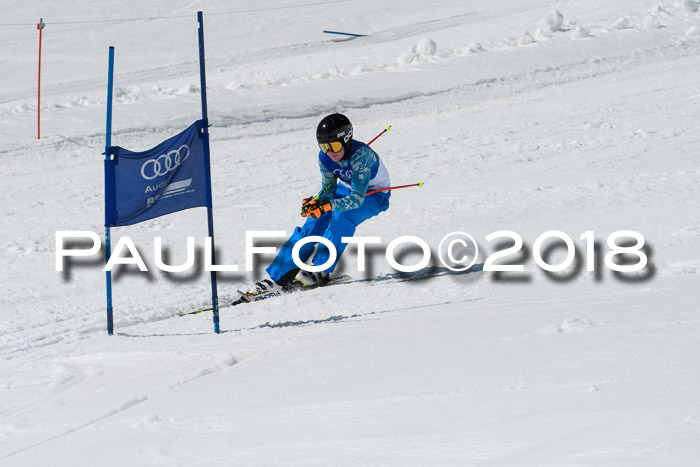 Ski Golf Masters 2018, Riesenslalom