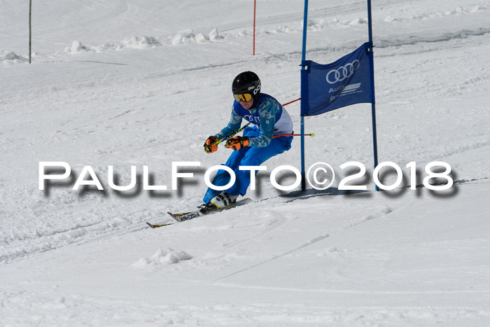 Ski Golf Masters 2018, Riesenslalom