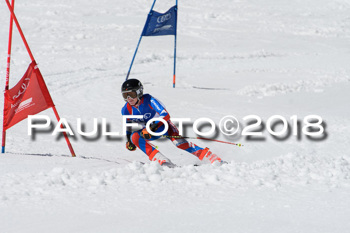 Ski Golf Masters 2018, Riesenslalom