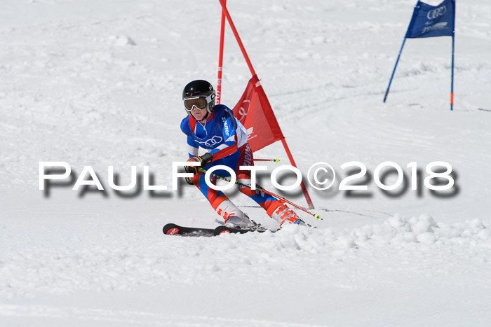 Ski Golf Masters 2018, Riesenslalom