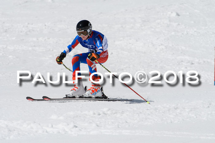 Ski Golf Masters 2018, Riesenslalom