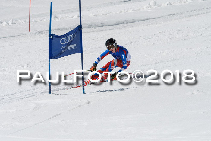 Ski Golf Masters 2018, Riesenslalom