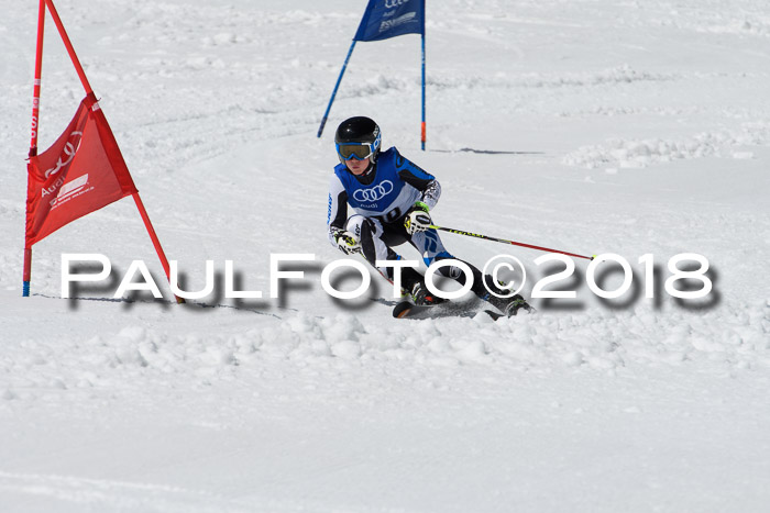 Ski Golf Masters 2018, Riesenslalom