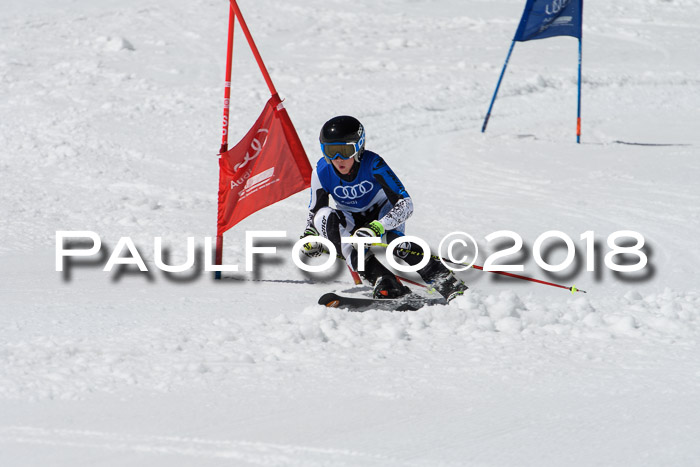 Ski Golf Masters 2018, Riesenslalom