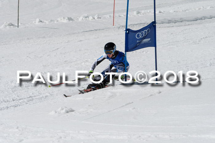 Ski Golf Masters 2018, Riesenslalom