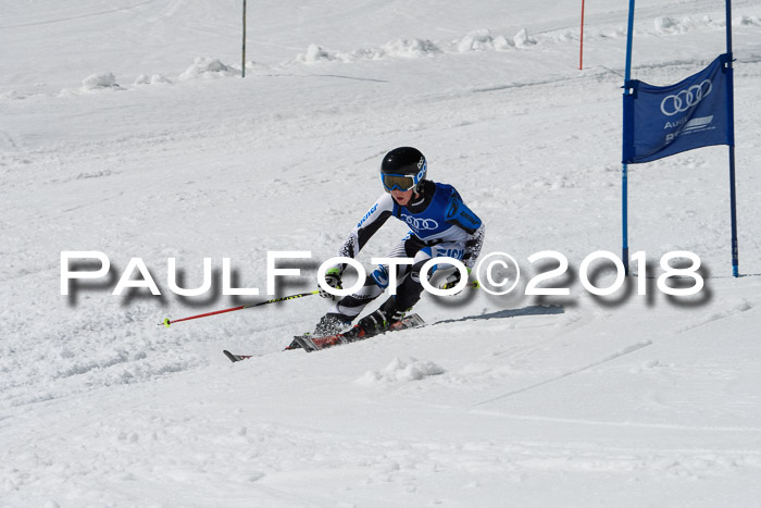Ski Golf Masters 2018, Riesenslalom