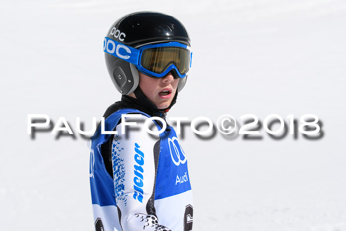 Ski Golf Masters 2018, Riesenslalom