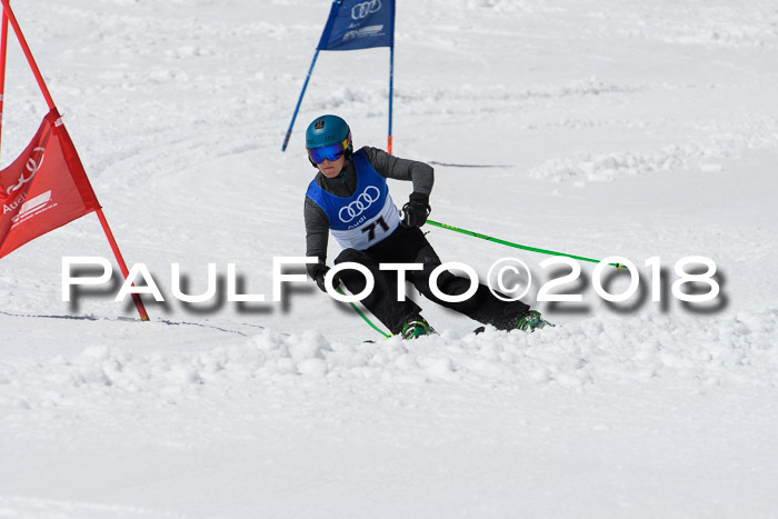 Ski Golf Masters 2018, Riesenslalom
