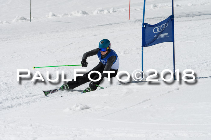 Ski Golf Masters 2018, Riesenslalom