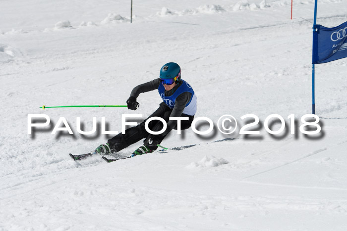 Ski Golf Masters 2018, Riesenslalom