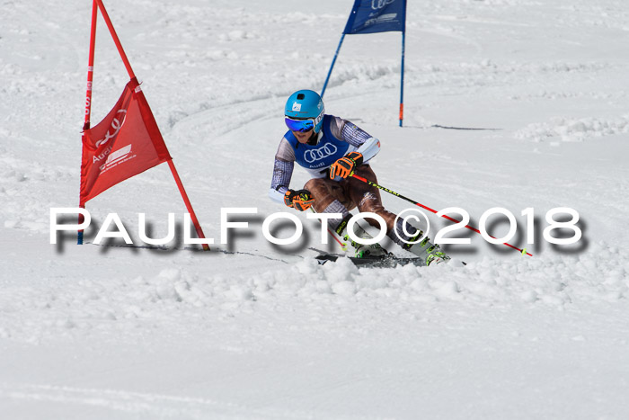 Ski Golf Masters 2018, Riesenslalom