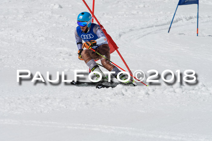 Ski Golf Masters 2018, Riesenslalom