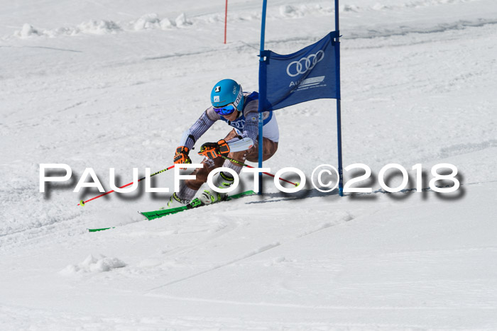 Ski Golf Masters 2018, Riesenslalom