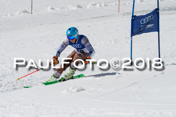 Ski Golf Masters 2018, Riesenslalom