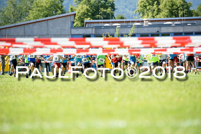 Baira Cross Lauf, 1. Sommercup SGW