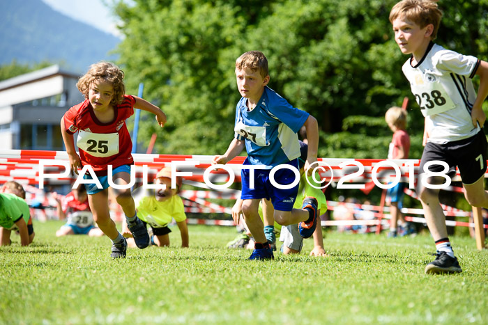 Baira Cross Lauf, 1. Sommercup SGW