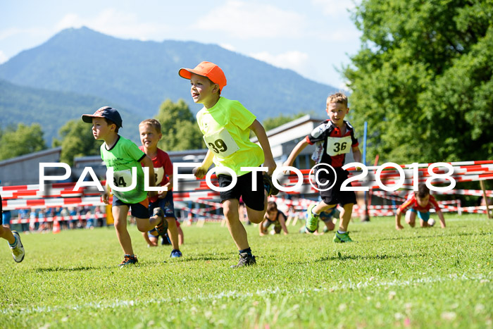 Baira Cross Lauf, 1. Sommercup SGW