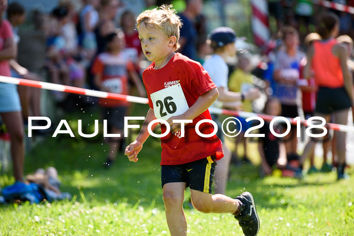 Baira Cross Lauf, 1. Sommercup SGW