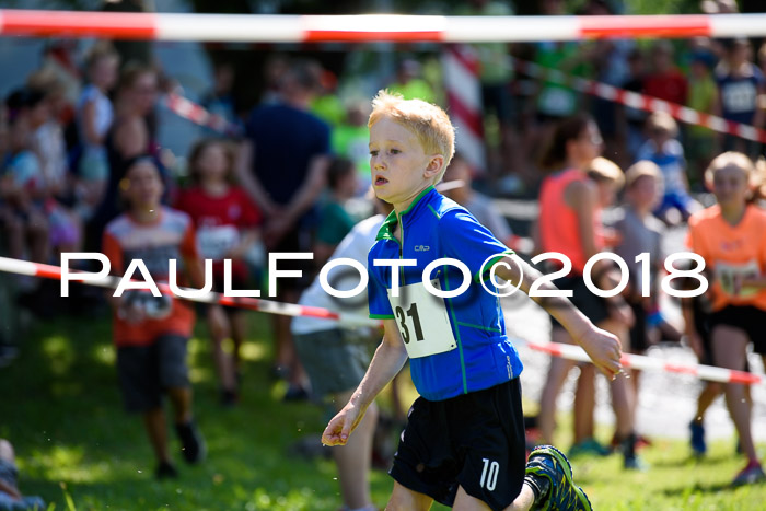Baira Cross Lauf, 1. Sommercup SGW