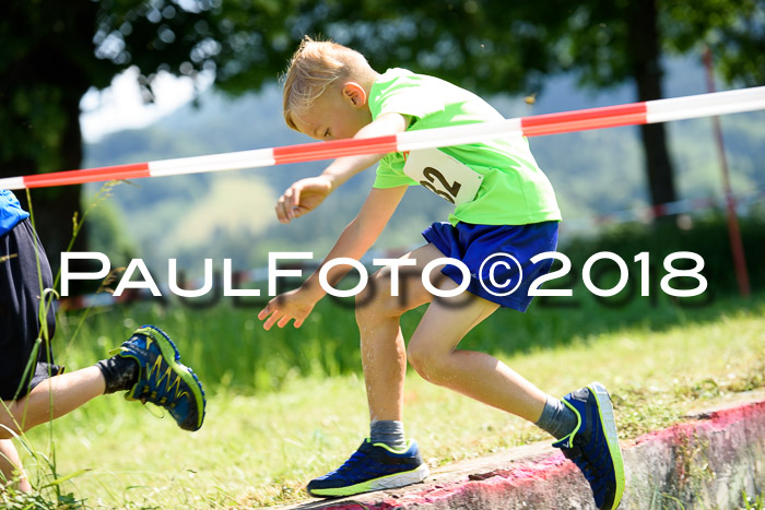 Baira Cross Lauf, 1. Sommercup SGW