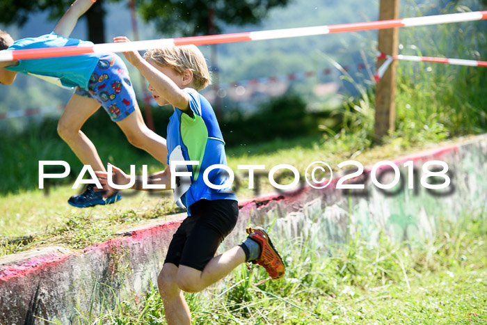 Baira Cross Lauf, 1. Sommercup SGW