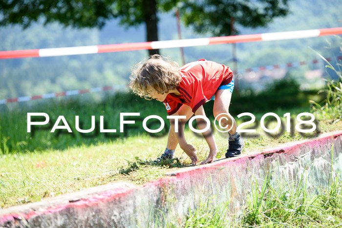 Baira Cross Lauf, 1. Sommercup SGW