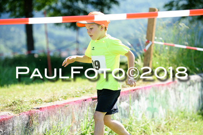 Baira Cross Lauf, 1. Sommercup SGW
