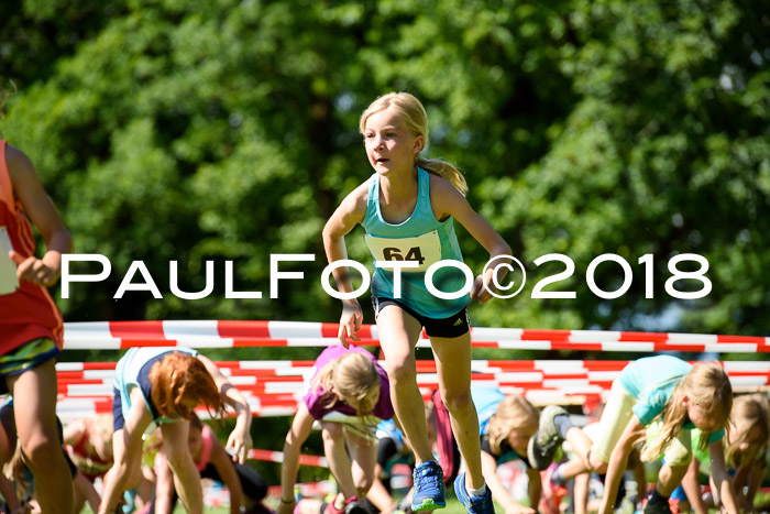 Baira Cross Lauf, 1. Sommercup SGW