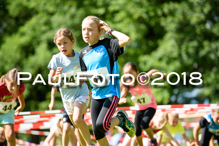 Baira Cross Lauf, 1. Sommercup SGW