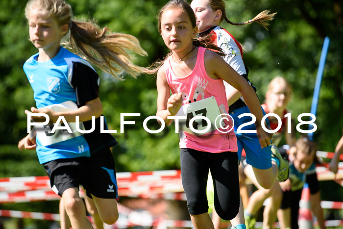 Baira Cross Lauf, 1. Sommercup SGW