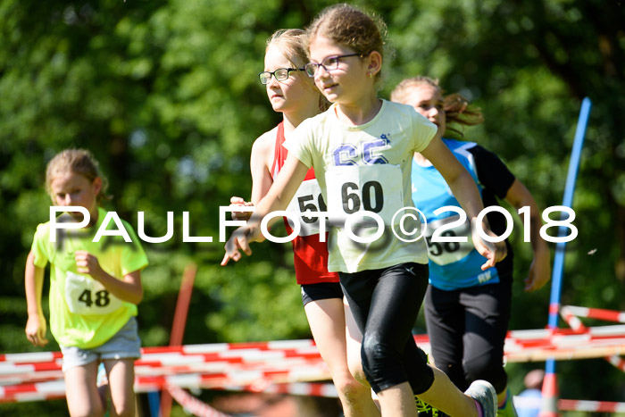 Baira Cross Lauf, 1. Sommercup SGW