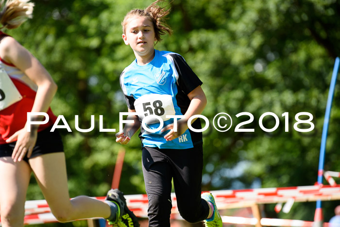 Baira Cross Lauf, 1. Sommercup SGW