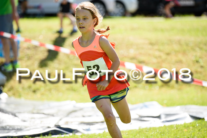 Baira Cross Lauf, 1. Sommercup SGW