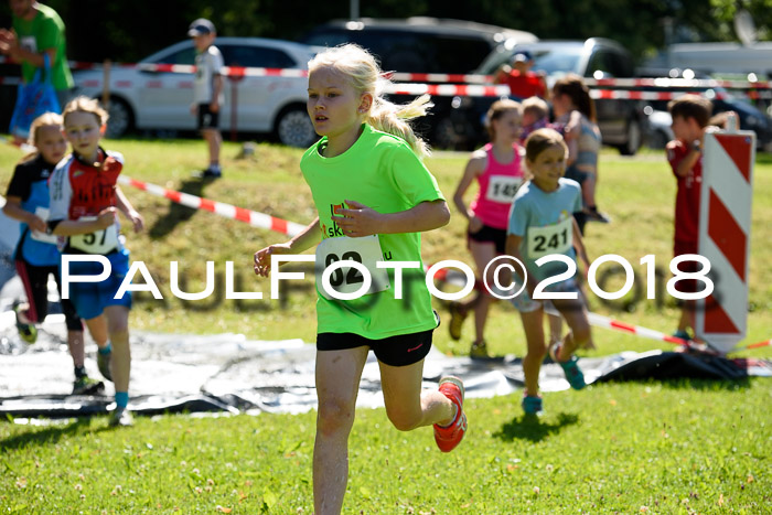 Baira Cross Lauf, 1. Sommercup SGW