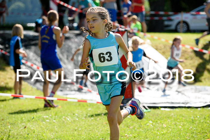 Baira Cross Lauf, 1. Sommercup SGW