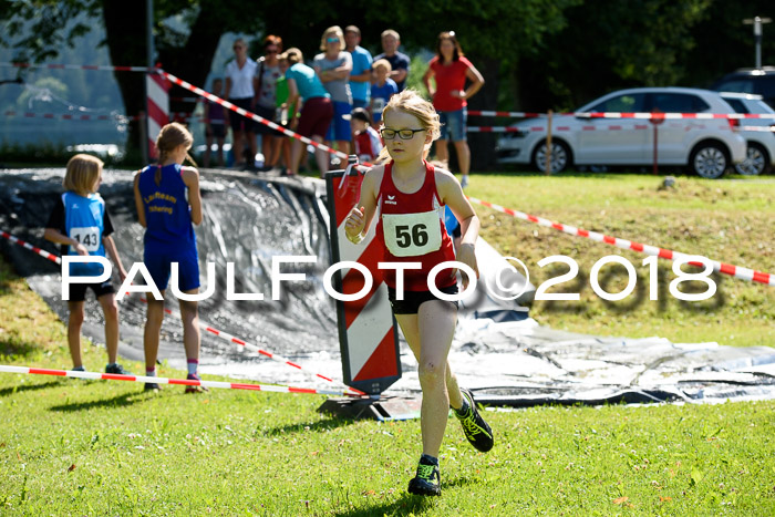 Baira Cross Lauf, 1. Sommercup SGW