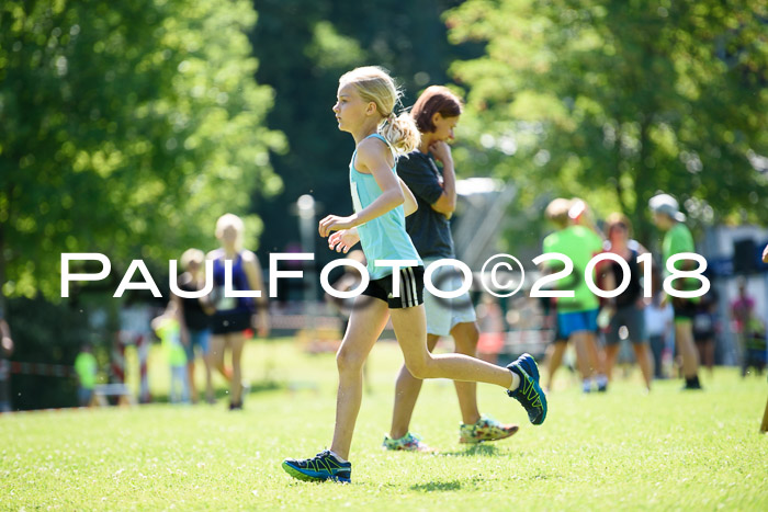 Baira Cross Lauf, 1. Sommercup SGW